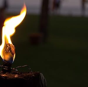 Reflections on the Great Big Thing